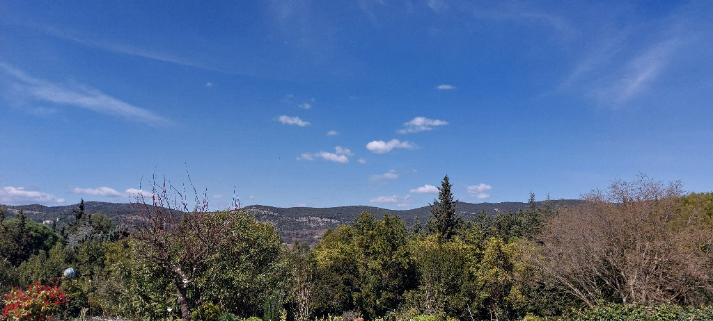 vue de paysage