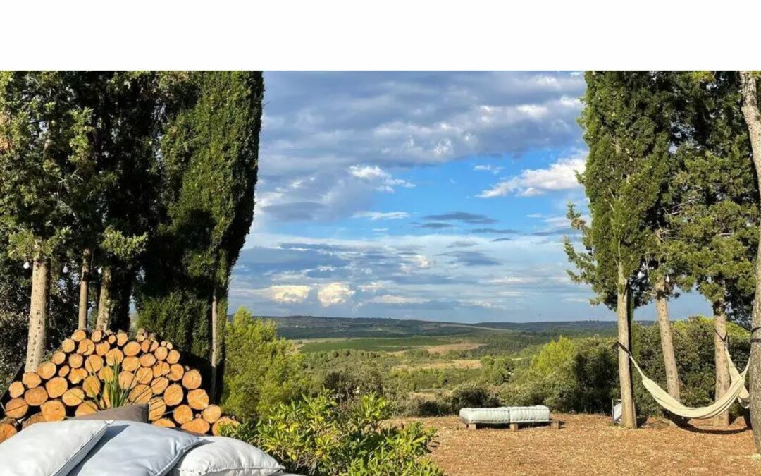 Propriété d’exception – Plus de 4 hectares avec gîtes et vue panoramique